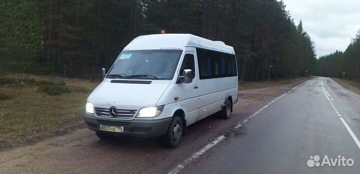 Пассажирские перевозки