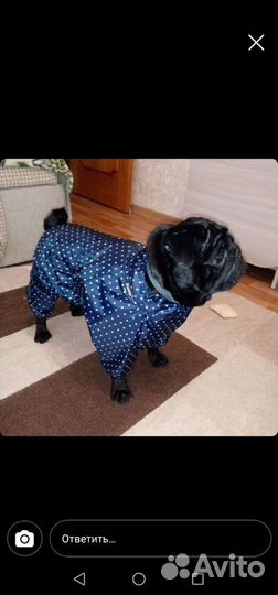 Одежда для собак от S до 7XL все сезоны