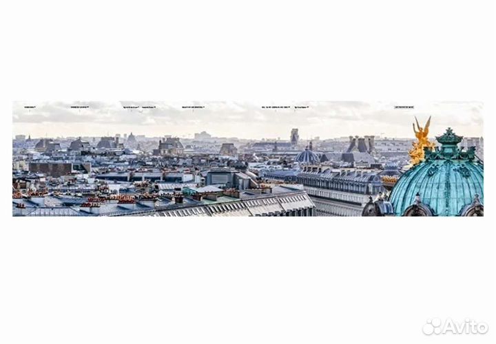 Книга Rooftop Paris: A Panoramic View
