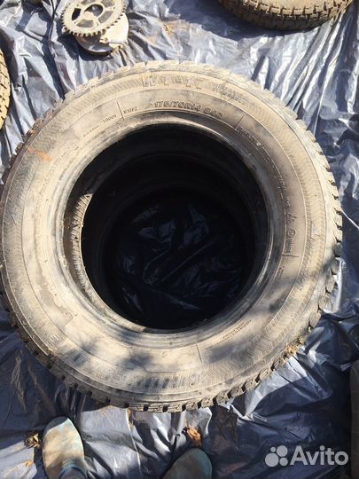 Bridgestone Winter Radial 704 175/70 R14