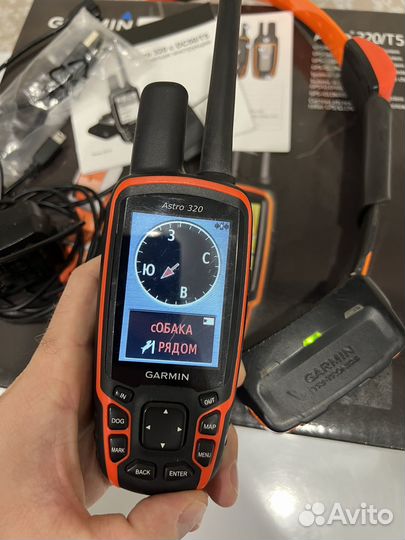 Навигатор Garmin Astro 320 с ошейником T5 (RUS)