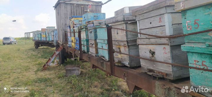 Ульи для пчел