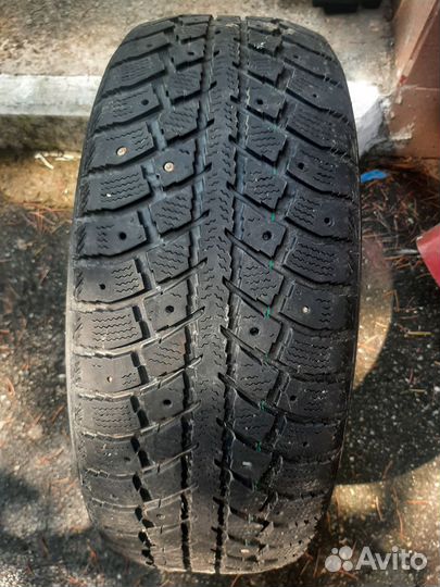 Toyo Winter Tranpath MS 205/55 R16 94