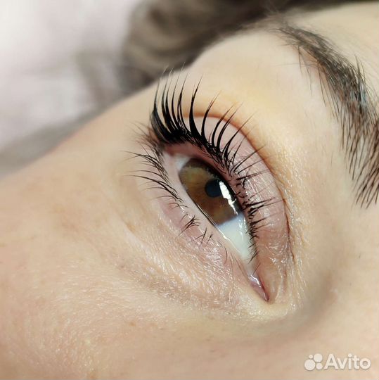 Архитектура бровей