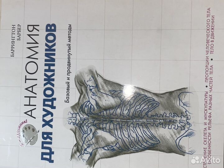 Книга по анатомии