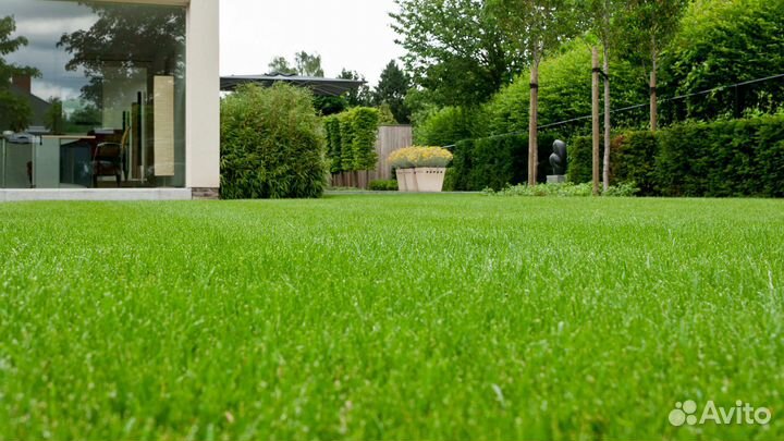 Семена газона элитного