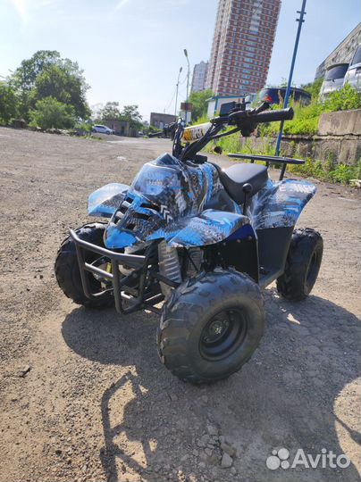 Квадроцикл Raptor 110