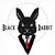 Black Rabbit