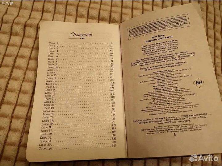 Книга чердак на Куин-стрит