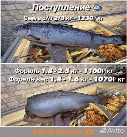 От мойвы до сёмги свежая рыба