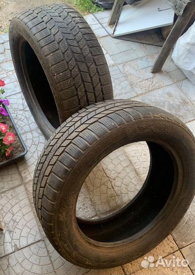 Continental ContiWinterContact TS 810 Sport 245/50 R18