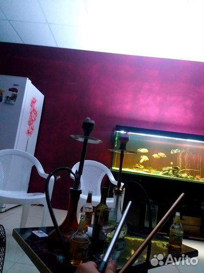 Аренда кальяна дом