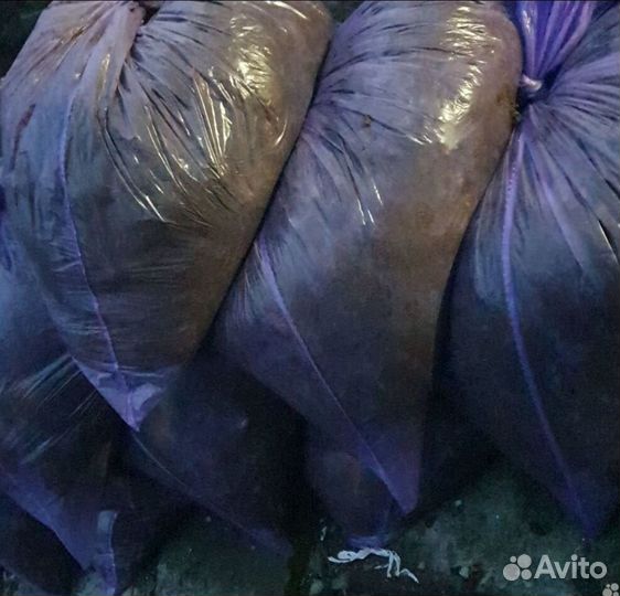 Помет в мешках перепелиный