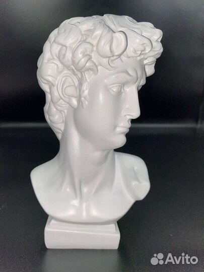 Бюст/голова Давида