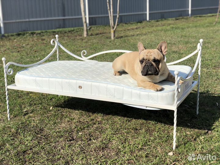 Вольеры для собак