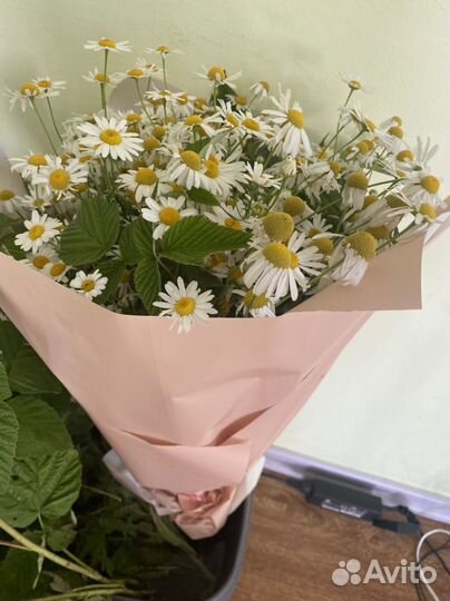 Букет ромашек доставка