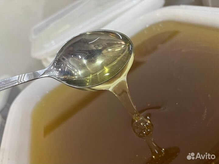 Мед свежий оптом майский