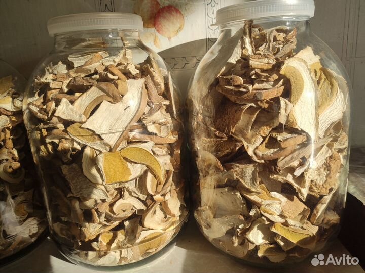 Грузди, рыжики, белые грибы в Костроме