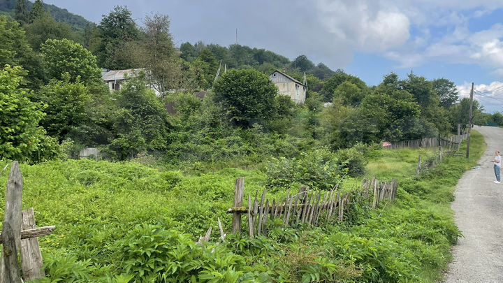 Участок 10 сот. (СНТ, ДНП)