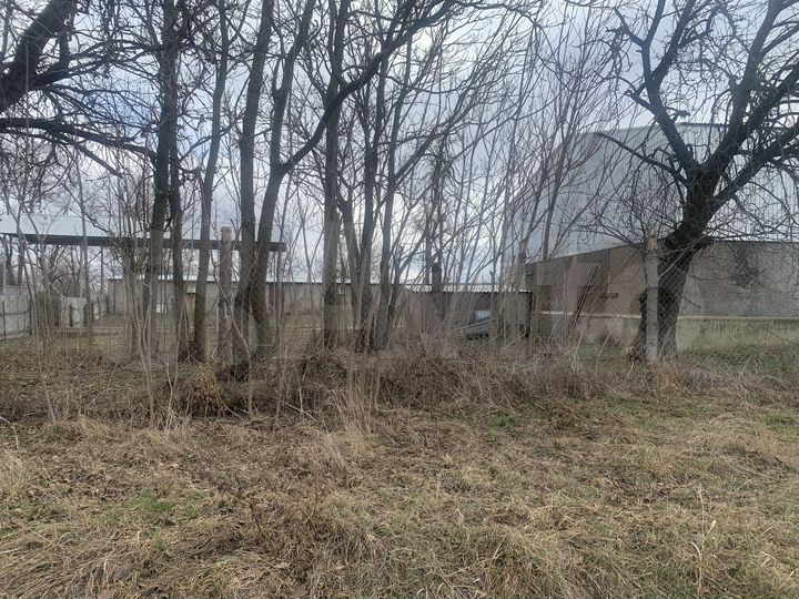 Экоферма по производству куриных яиц