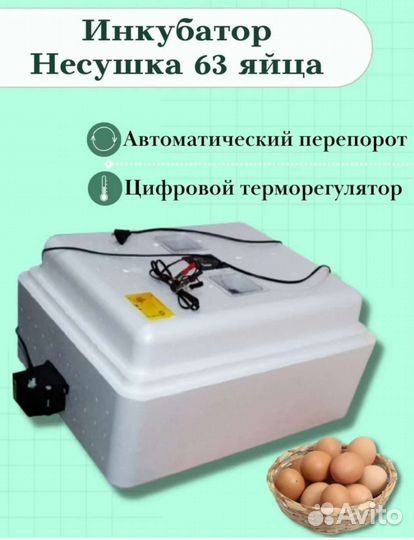 Инкубатор для яиц автоматический бу