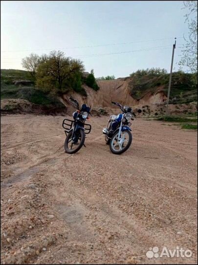 Продам мопед альфа