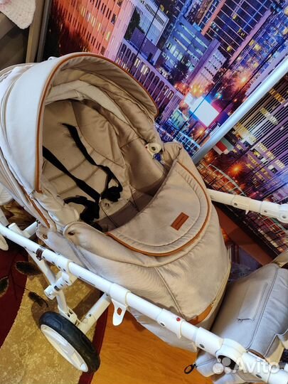 Коляска 2в1 adamex massimo