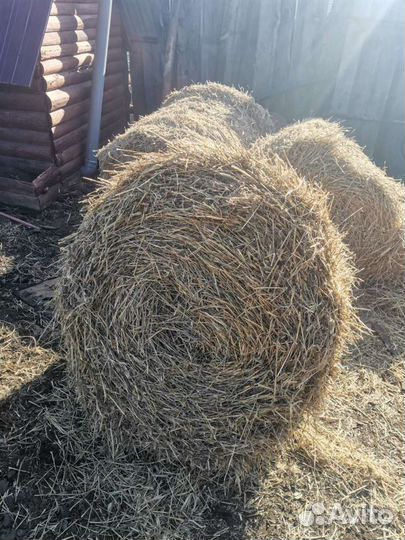 Принимаю заявки на сено, солома