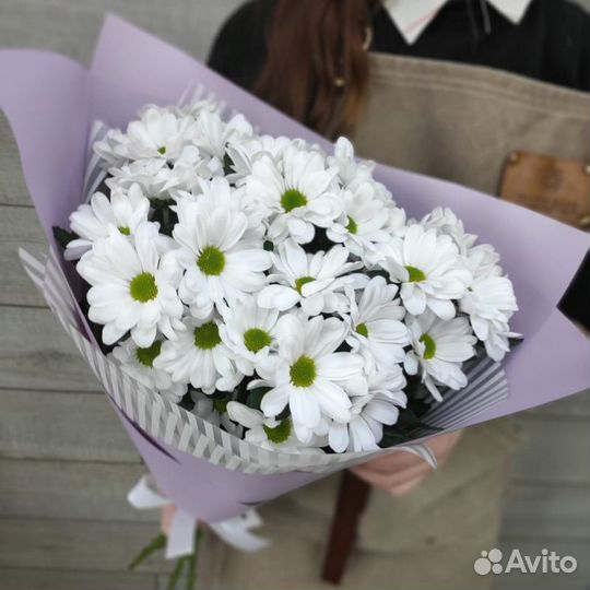 Хризантема кустовая