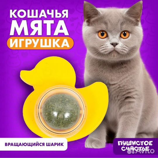 Леденцы для кошек из кошачьей мяты