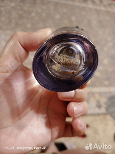 Dolce Gabbana blue jasmine