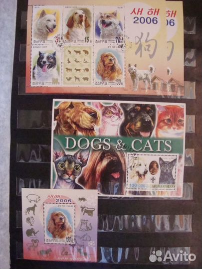 Коллекция марок с собаками