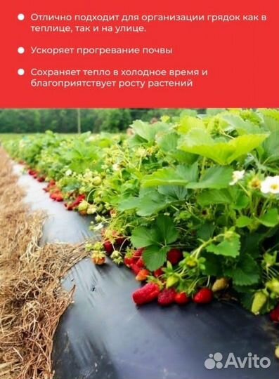 Пленка для клубники с перфорацией