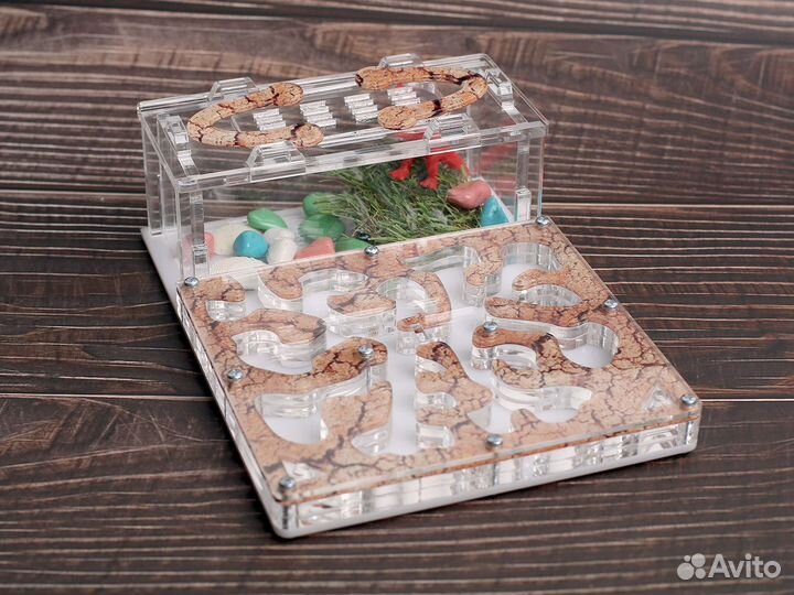 Муравьиная ферма с муравьями в Новосибирск