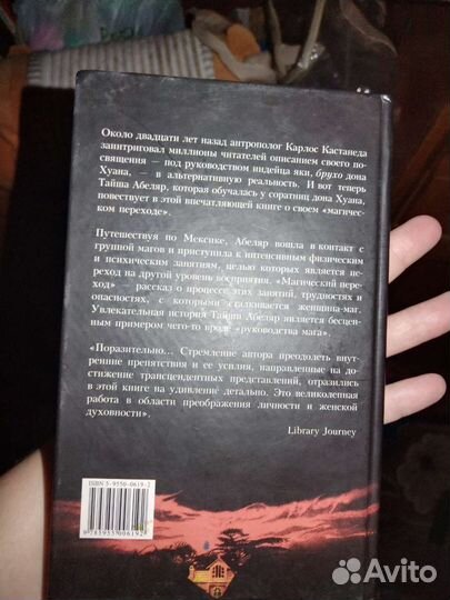 Тайша Абеляр