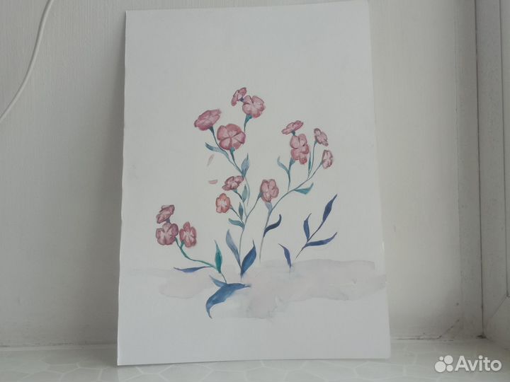 Красивые цветы