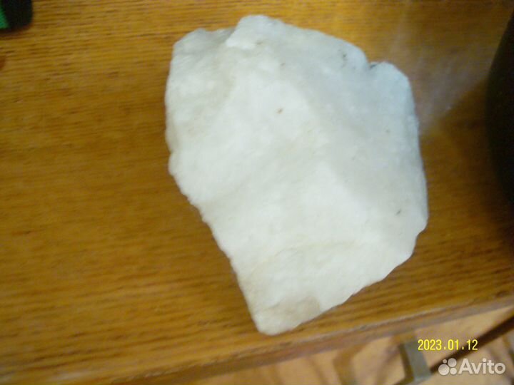 Морские ракушки раковины