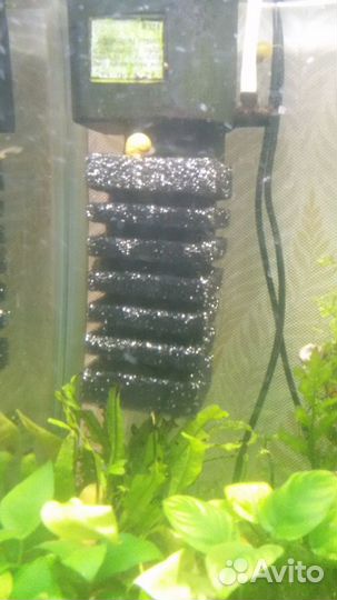 Губка фильтр для аквариума