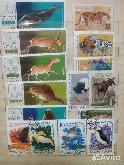 Почтовые марки