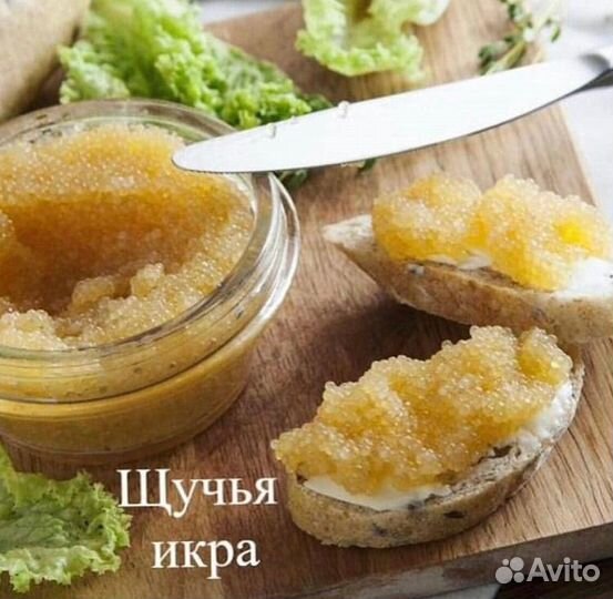 Икра щуки свежая.Пивной магазин пятница