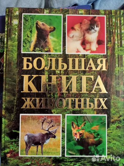 Большая книга животных