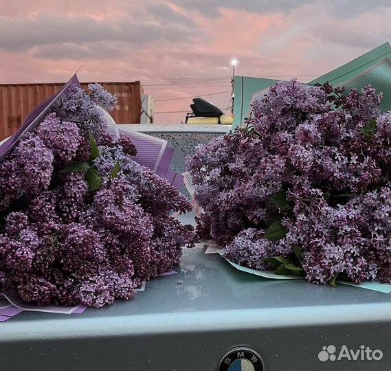 Букет цветов