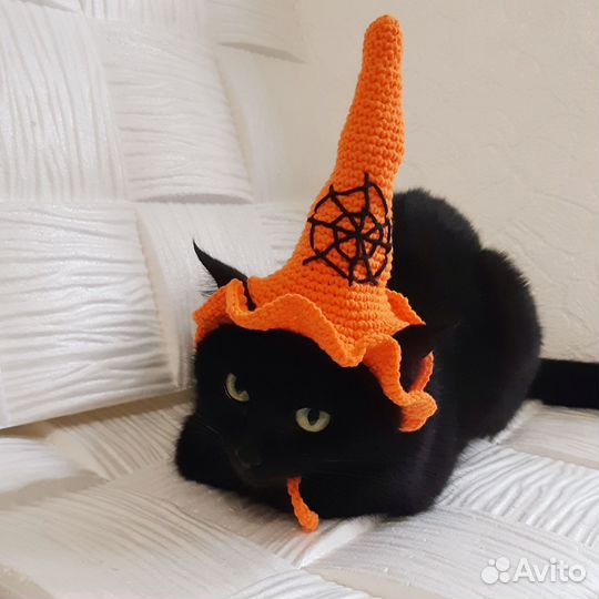 Одежда для животных ручная работа