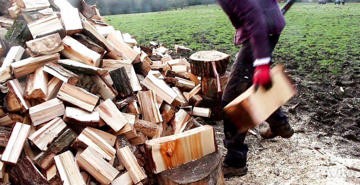 Дрова березовые нарубленные