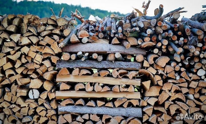 Дрова осина от производителя