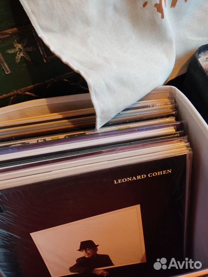 Виниловые пластинки