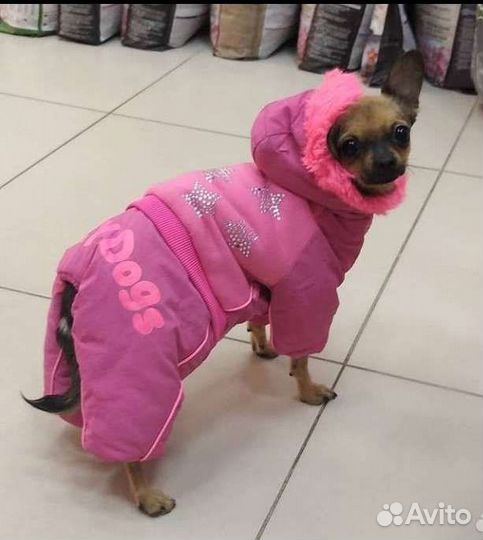 Одежда для собак Formydogs