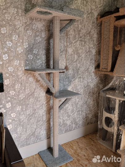 Столбик когтеточка