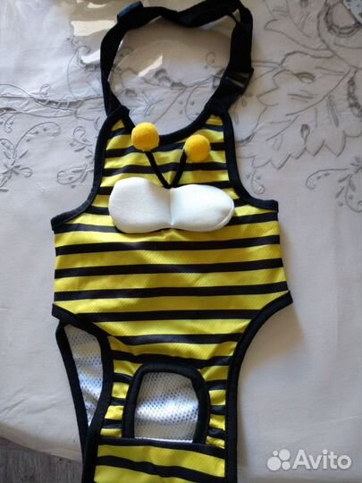 Трусы для собак при течке