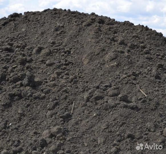 Черназем, земля